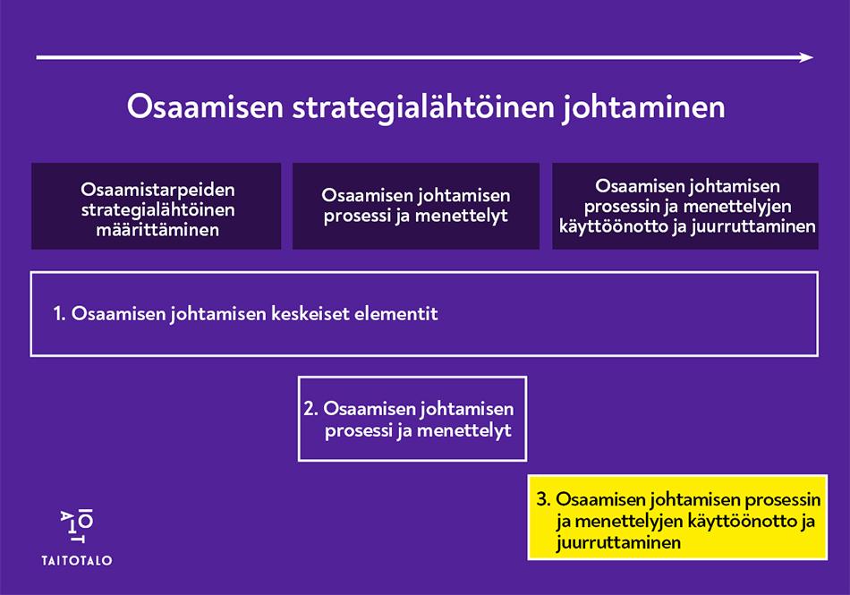 Osaamisen Johtamisen Prosessin Ja Menettelyjen Käytäntöön Vienti ...